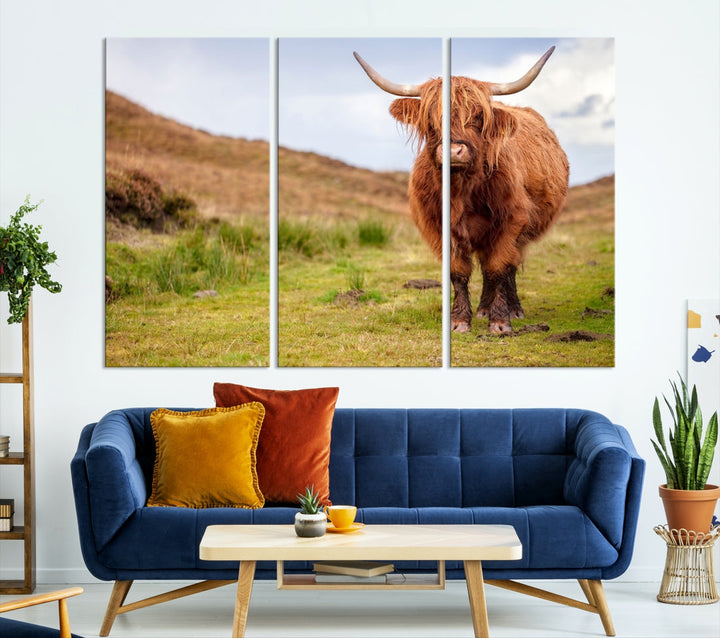 Highland Cow Large Animal Canvas Wall Art Texas Cow Canvas Art Cattle Photograph Art Canvas Picture Animal Art Print