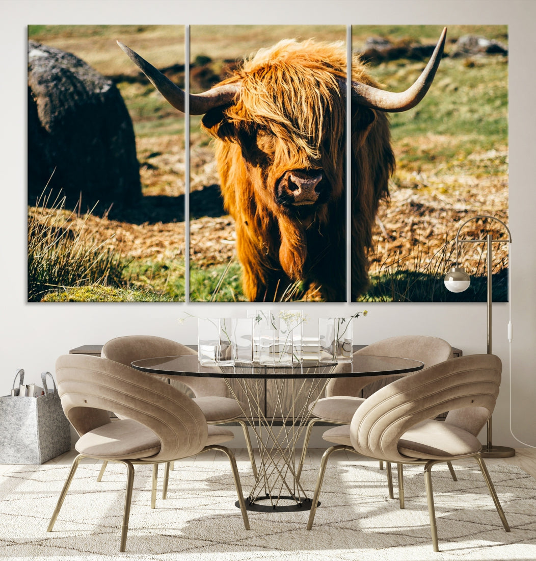 Highland Cow Large Canvas Wall Art Print Nature Photo Animal Canvas Art Landscape Art Cow Print Framed Ready to Hang