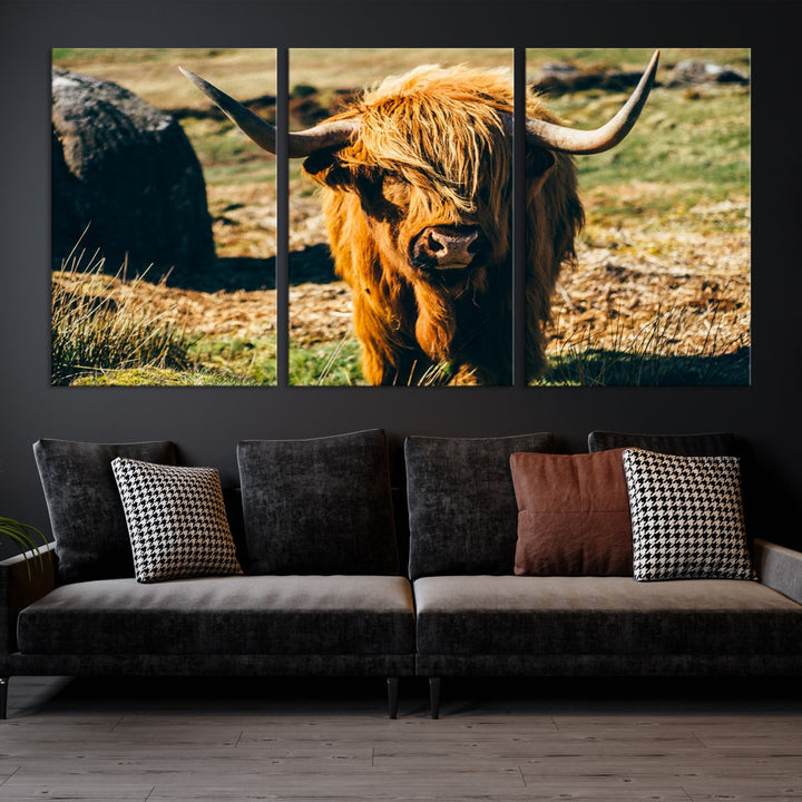 Highland Cow Large Canvas Wall Art Print Nature Photo Animal Canvas Art Landscape Art Cow Print Framed Ready to Hang