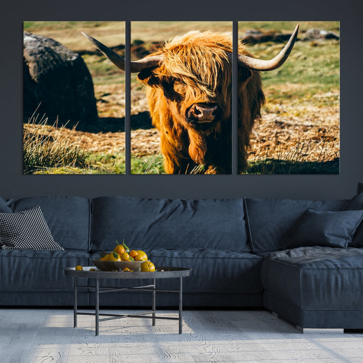 Highland Cow Large Canvas Wall Art Print Nature Photo Animal Canvas Art Landscape Art Cow Print Framed Ready to Hang