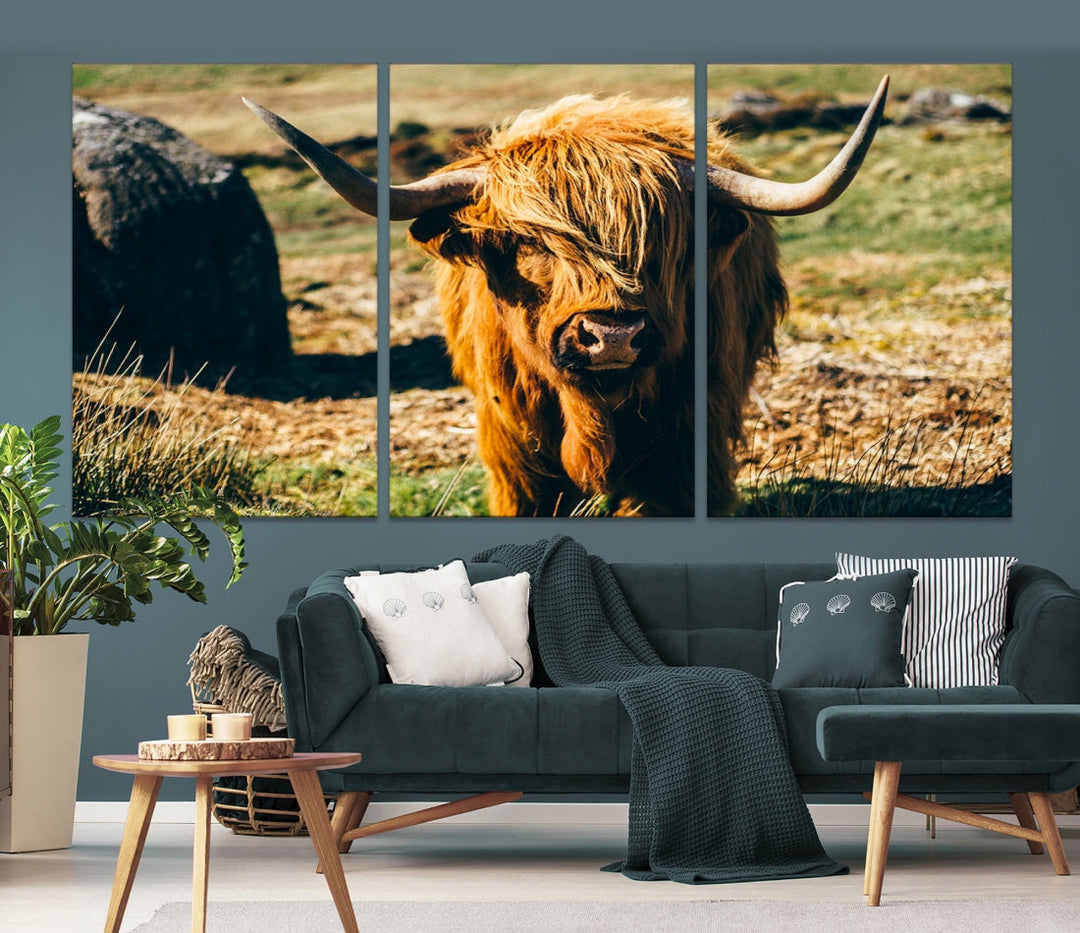 Highland Cow Large Canvas Wall Art Print Nature Photo Animal Canvas Art Landscape Art Cow Print Framed Ready to Hang