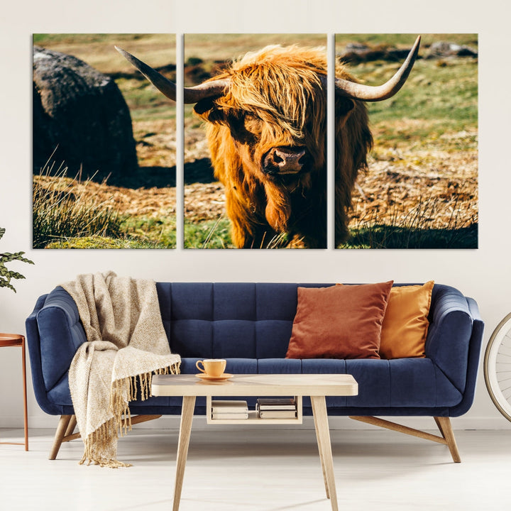 Highland Cow Large Canvas Wall Art Print Nature Photo Animal Canvas Art Landscape Art Cow Print Framed Ready to Hang