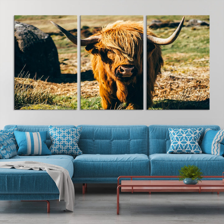 Highland Cow Large Canvas Wall Art Print Nature Photo Animal Canvas Art Landscape Art Cow Print Framed Ready to Hang