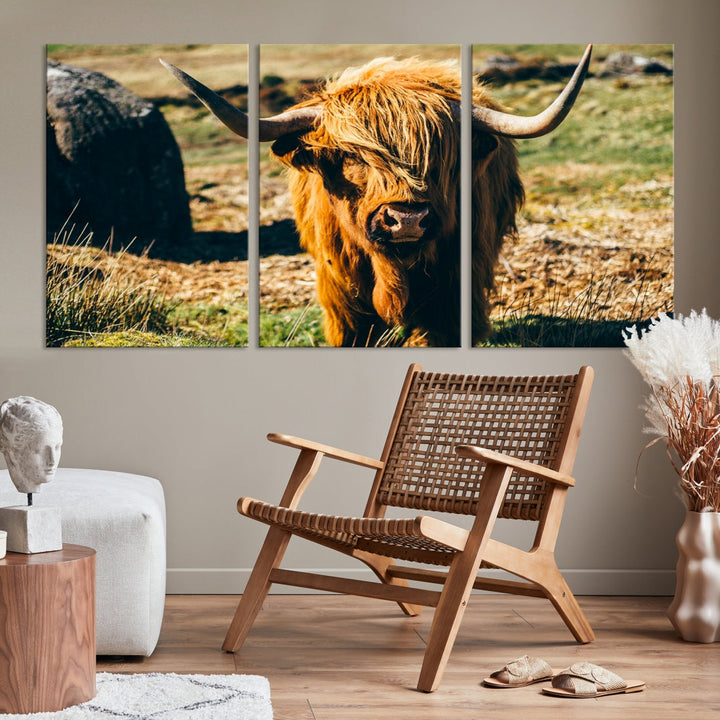 Highland Cow Large Canvas Wall Art Print Nature Photo Animal Canvas Art Landscape Art Cow Print Framed Ready to Hang