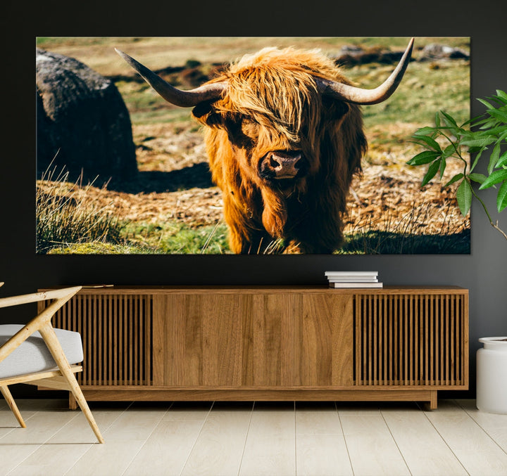 Highland Cow Large Canvas Wall Art Print Nature Photo Animal Canvas Art Landscape Art Cow Print Framed Ready to Hang