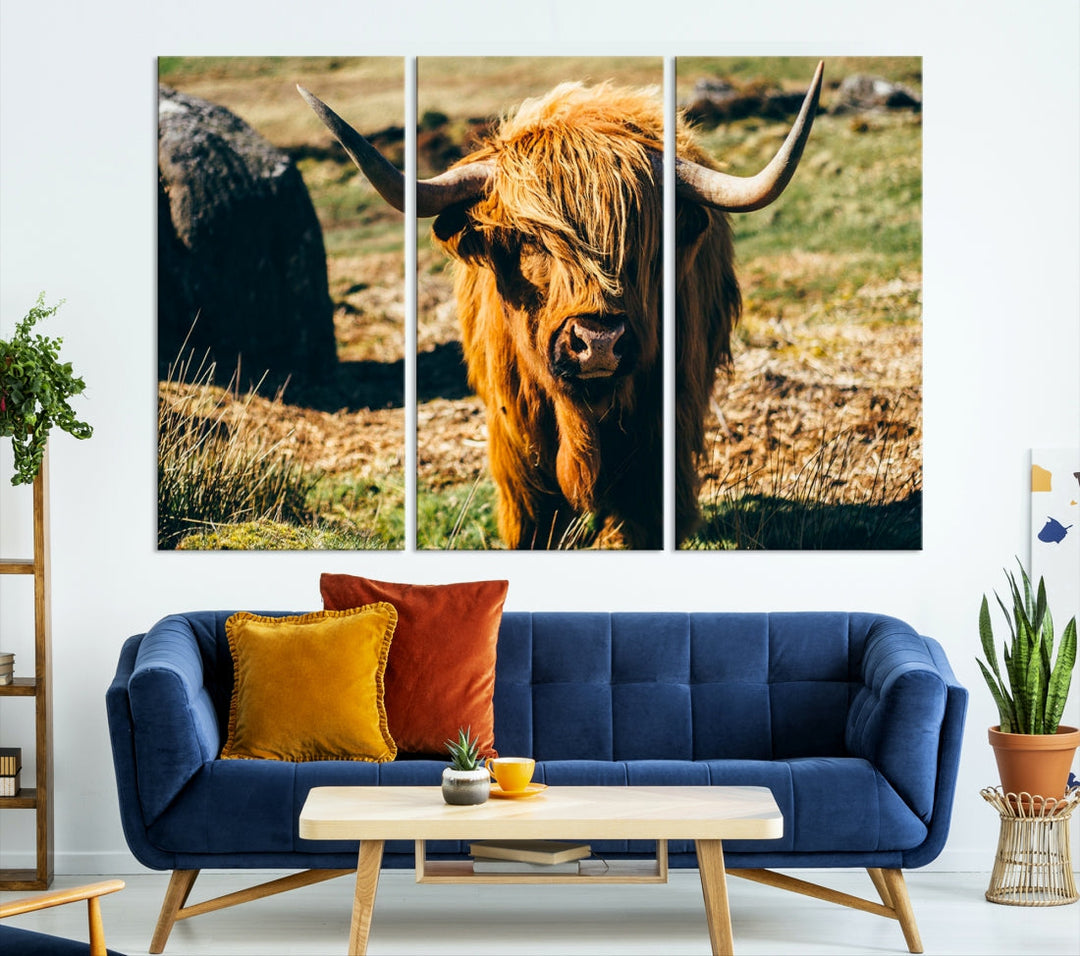 Highland Cow Large Canvas Wall Art Print Nature Photo Animal Canvas Art Landscape Art Cow Print Framed Ready to Hang