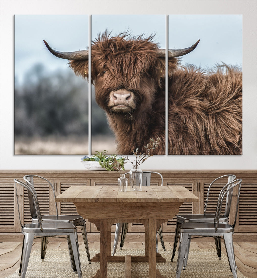 Highland Cow Scottish Cattle Photograph Large Wall Art Canvas Print