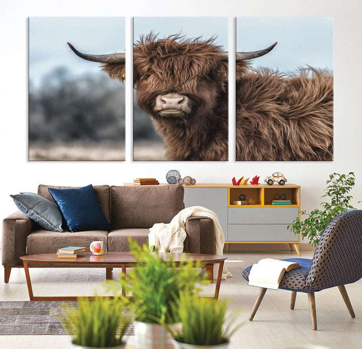 Highland Cow Scottish Cattle Photograph Large Wall Art Canvas Print