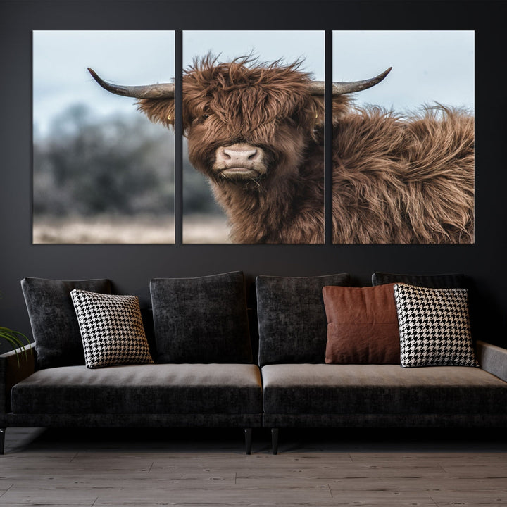 Highland Cow Scottish Cattle Photograph Large Wall Art Canvas Print