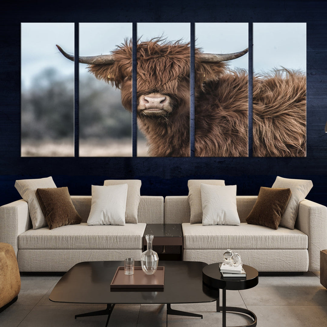 Highland Cow Scottish Cattle Photograph Large Wall Art Canvas Print