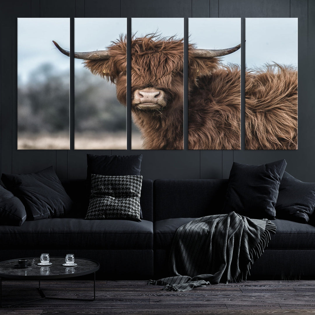 Highland Cow Scottish Cattle Photograph Large Wall Art Canvas Print