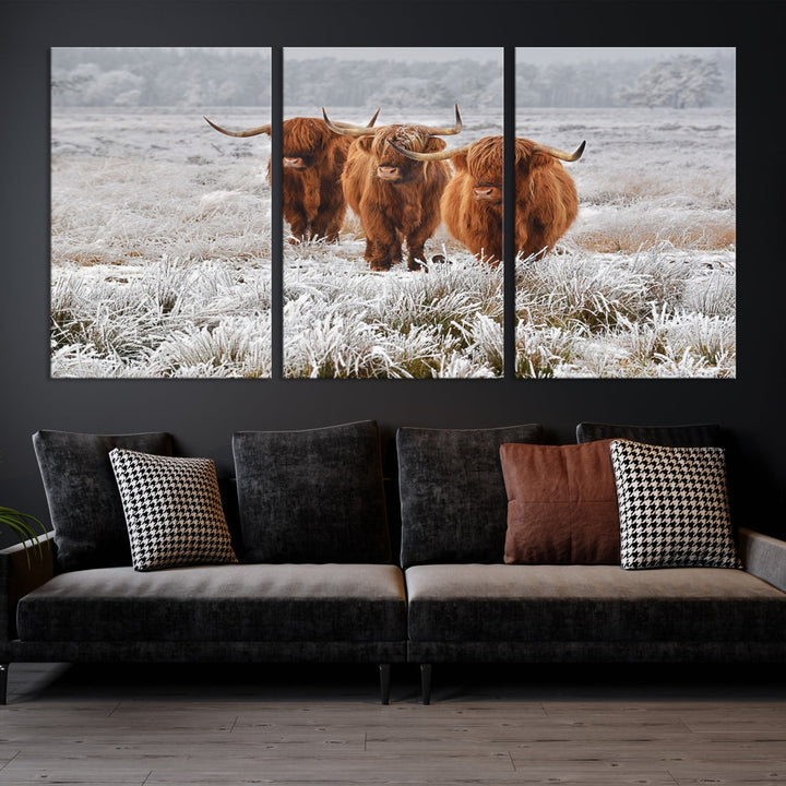 Highland Cows in Snow Canvas Art Animal Photography Large Print Wall Art Highland Cattle Picture Art Farmhouse Art