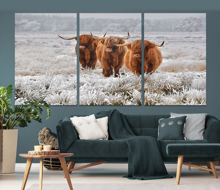 Highland Cows in Snow Canvas Art Animal Photography Large Print Wall Art Highland Cattle Picture Art Farmhouse Art