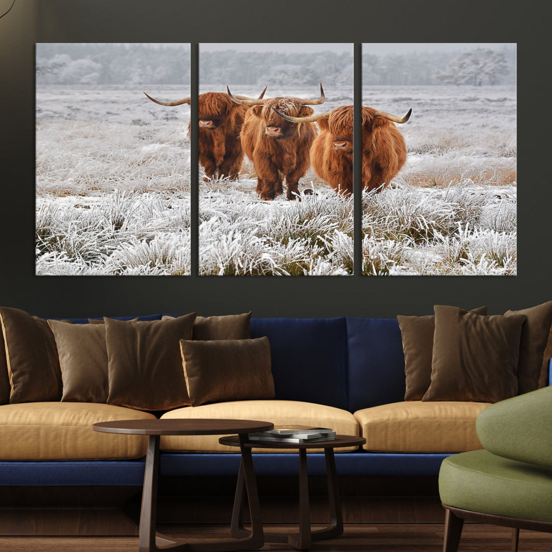 Highland Cows in Snow Canvas Art Animal Photography Large Print Wall Art Highland Cattle Picture Art Farmhouse Art