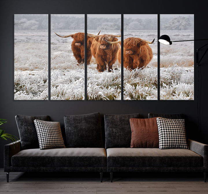 Highland Cows in Snow Canvas Art Animal Photography Large Print Wall Art Highland Cattle Picture Art Farmhouse Art