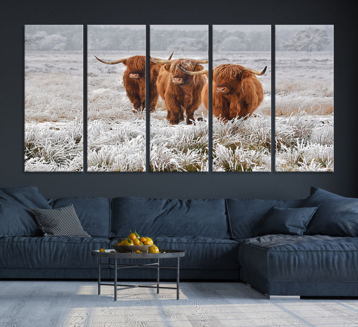 Highland Cows in Snow Canvas Art Animal Photography Large Print Wall Art Highland Cattle Picture Art Farmhouse Art