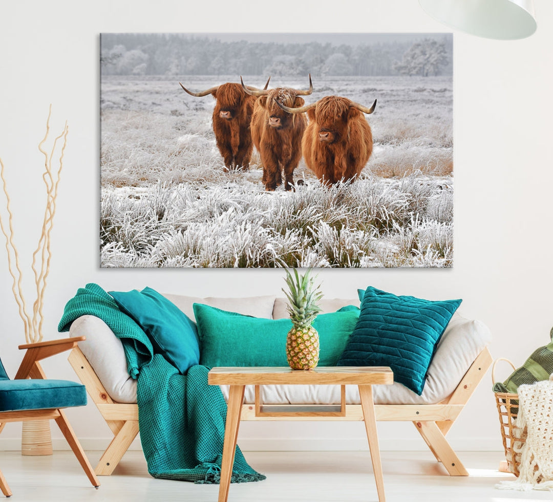 Highland Cows in Snow Canvas Art Animal Photography Large Print Wall Art Highland Cattle Picture Art Farmhouse Art