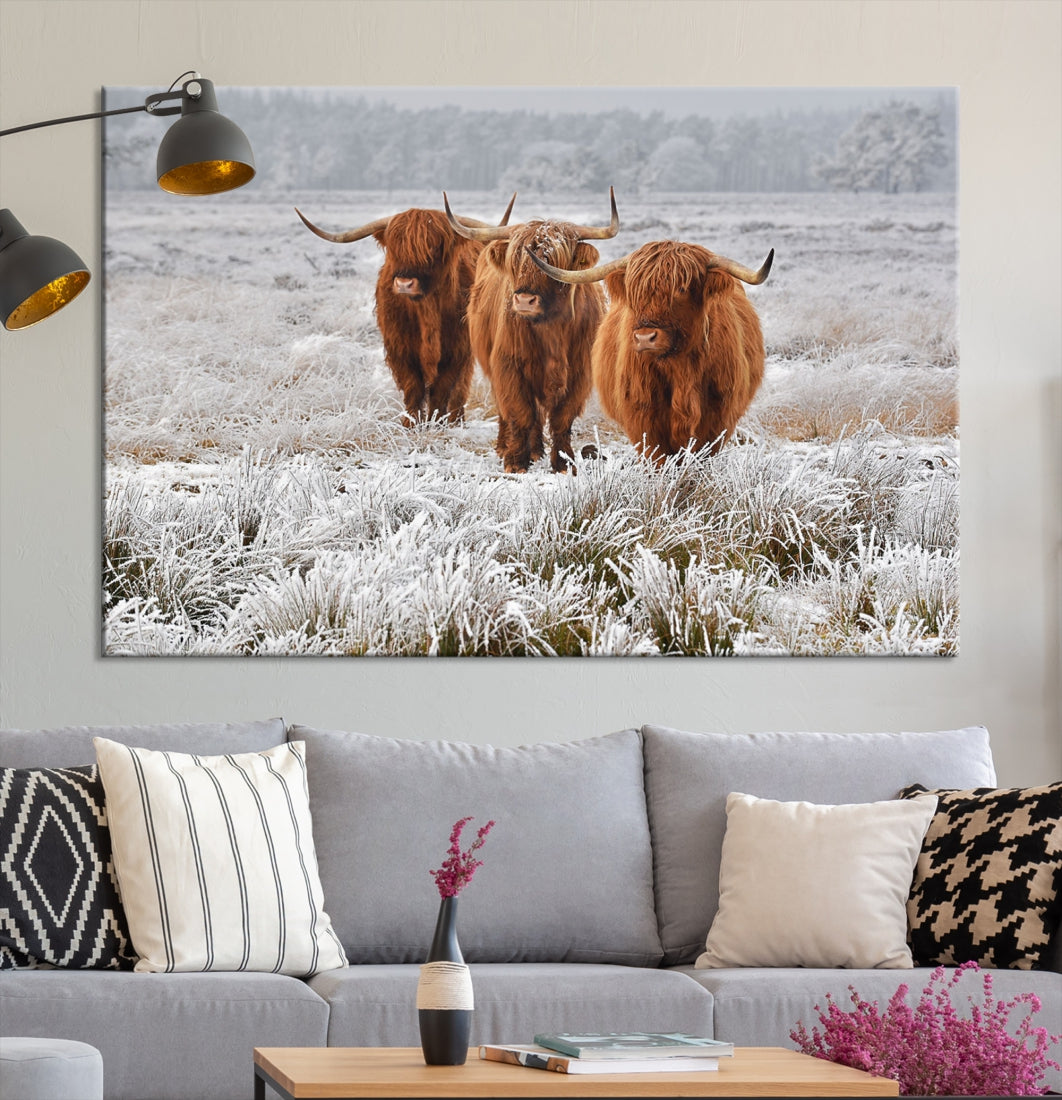 Highland Cows in Snow Canvas Art Animal Photography Large Print Wall Art Highland Cattle Picture Art Farmhouse Art