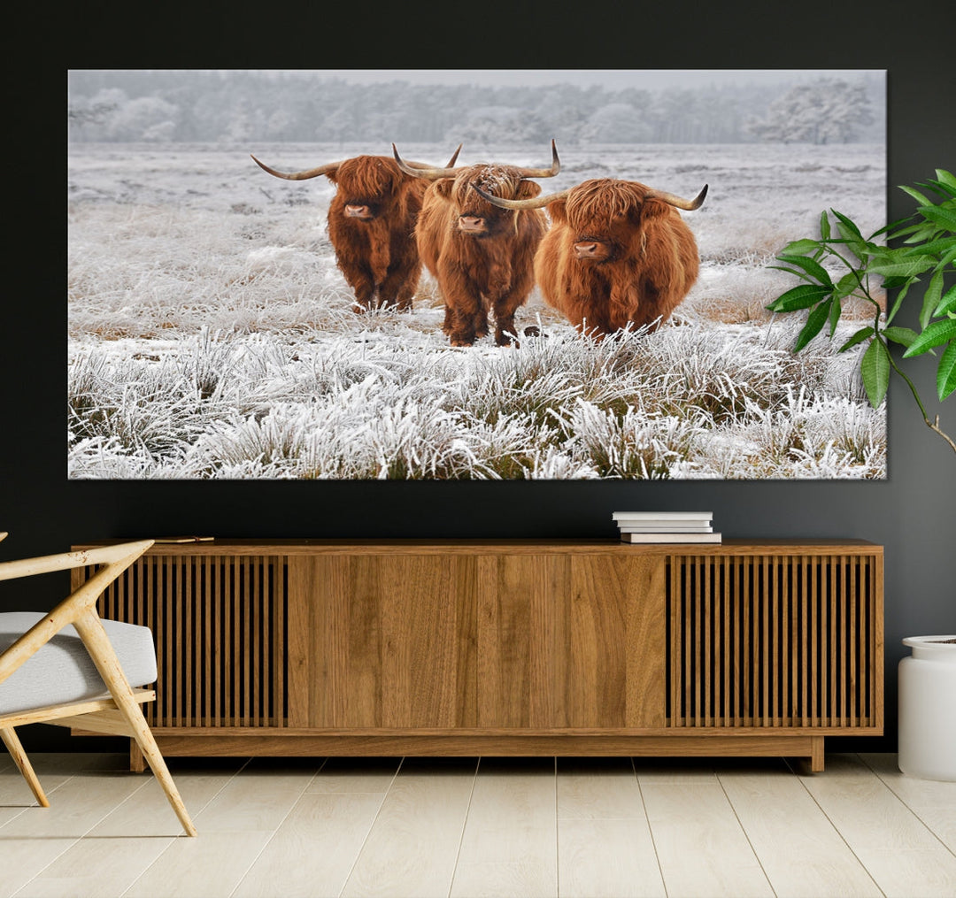 Highland Cows in Snow Canvas Art Animal Photography Large Print Wall Art Highland Cattle Picture Art Farmhouse Art