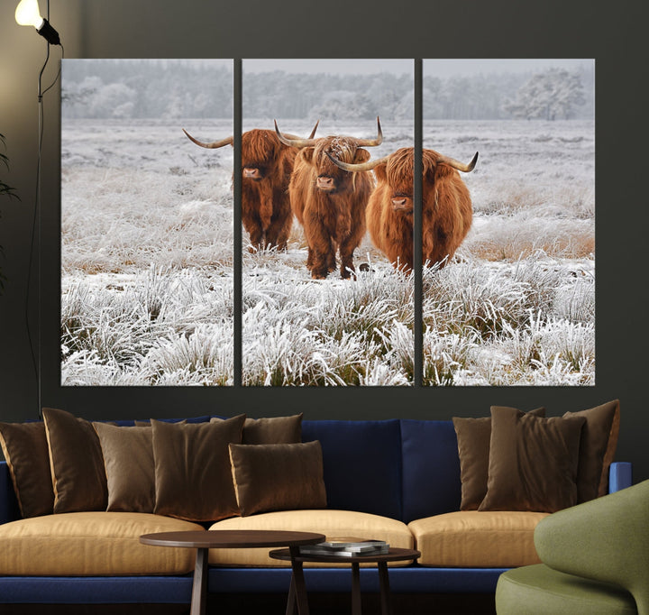 Highland Cows in Snow Canvas Art Animal Photography Large Print Wall Art Highland Cattle Picture Art Farmhouse Art