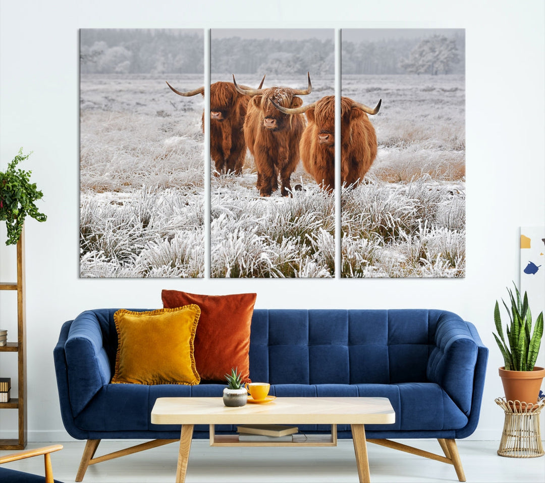 Highland Cows in Snow Canvas Art Animal Photography Large Print Wall Art Highland Cattle Picture Art Farmhouse Art