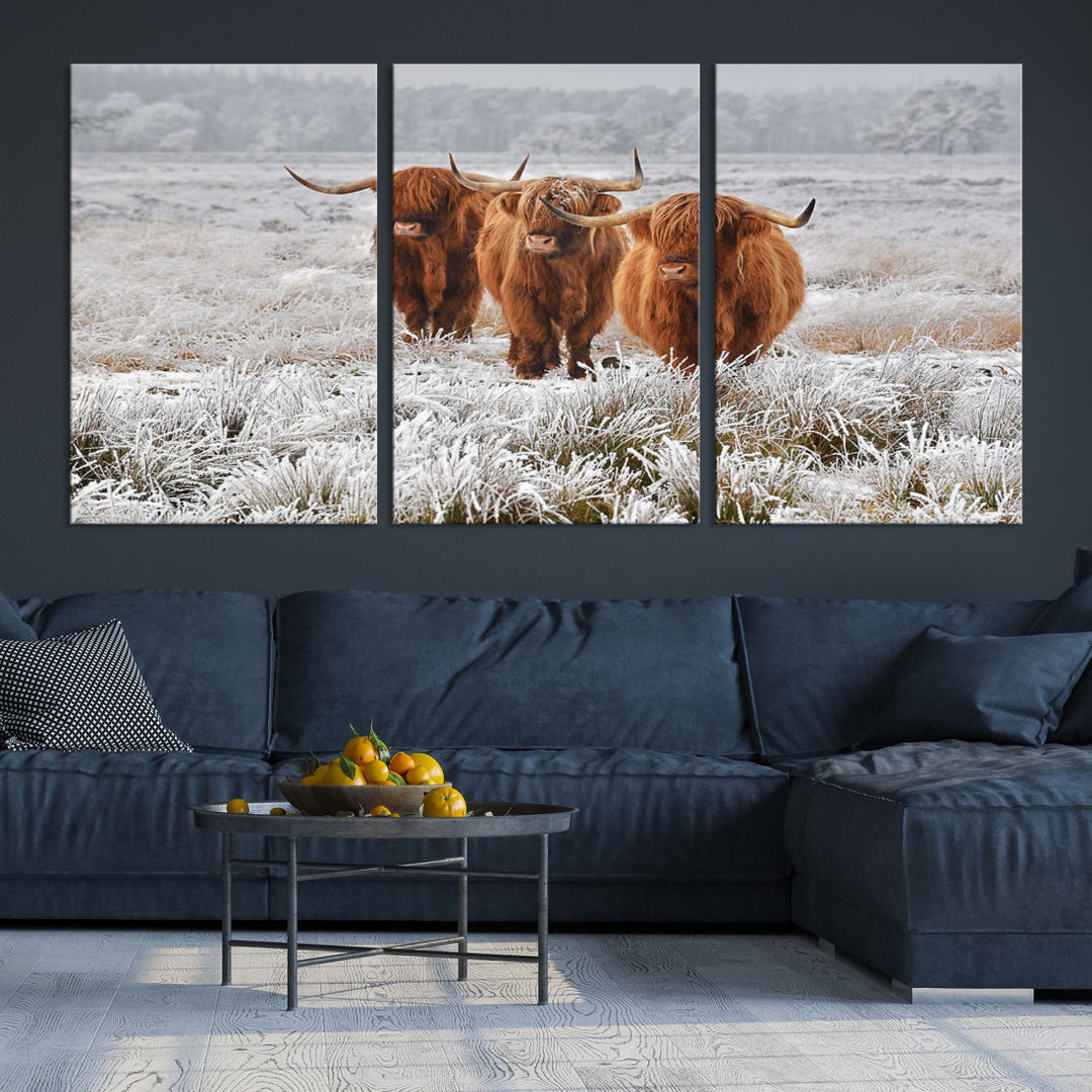 Highland Cows in Snow Canvas Art Animal Photography Large Print Wall Art Highland Cattle Picture Art Farmhouse Art Living Room Decor Nature Canvas Art Multi Panel Wall Art Framed Ready to Hang