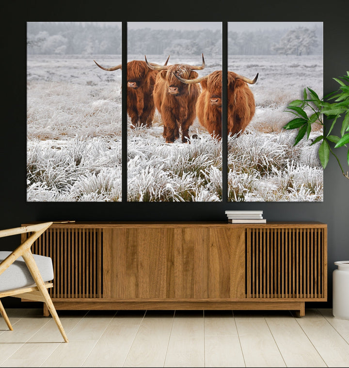 Highland Cows in Snow Canvas Art Animal Photography Large Print Wall Art Highland Cattle Picture Art Farmhouse Art Living Room Decor Nature Canvas Art Multi Panel Wall Art Framed Ready to Hang