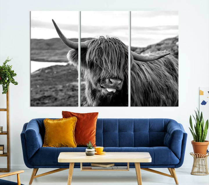 Highland Cows on the Coast of the Isle of HarrisBig Horn Canvas PrintOuter HebridesScotland