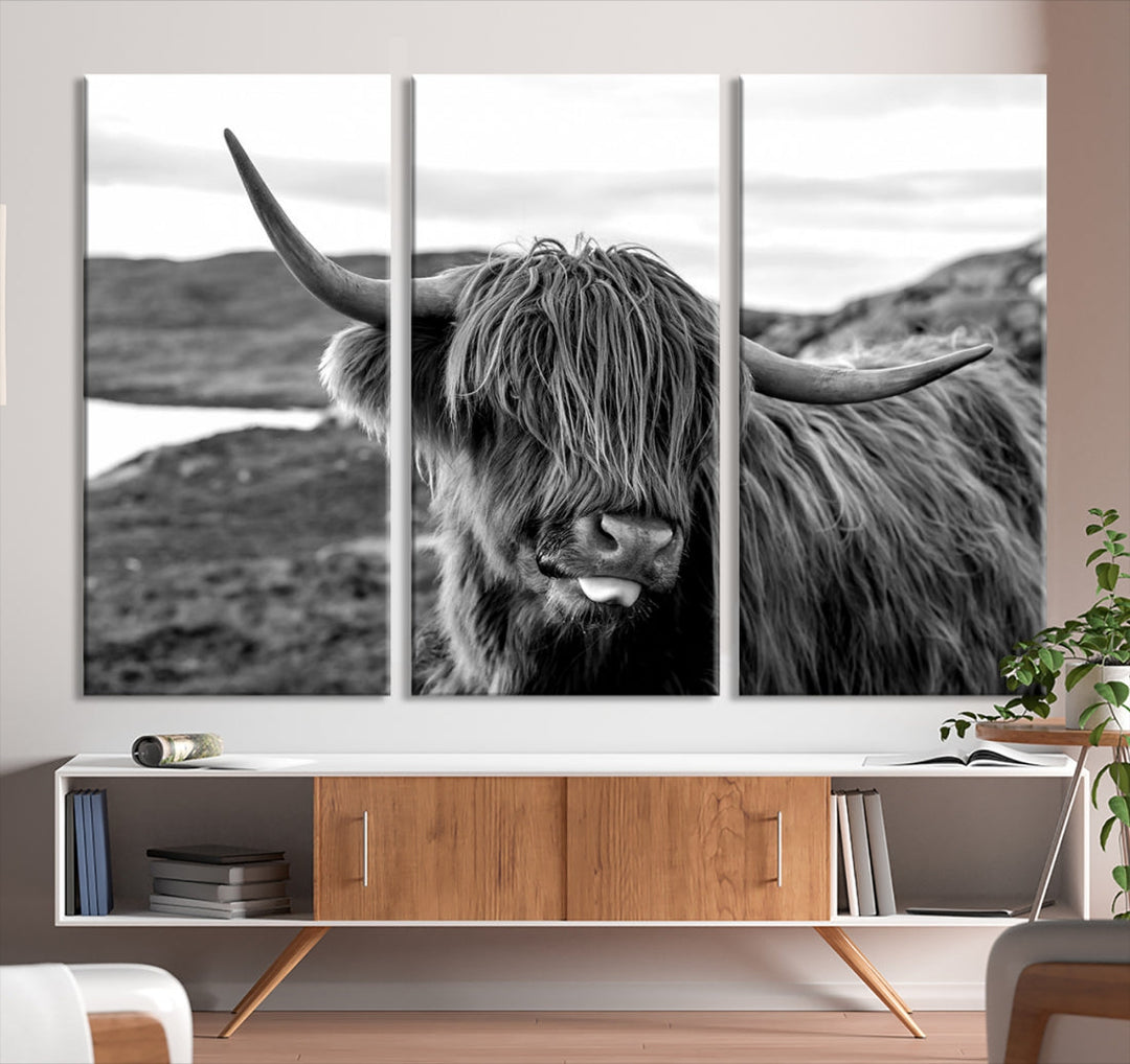 Highland Cows on the Coast of the Isle of HarrisBig Horn Canvas PrintOuter HebridesScotland