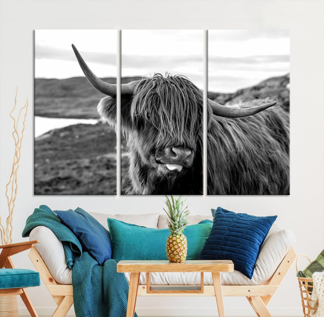 Highland Cows on the Coast of the Isle of HarrisBig Horn Canvas PrintOuter HebridesScotland