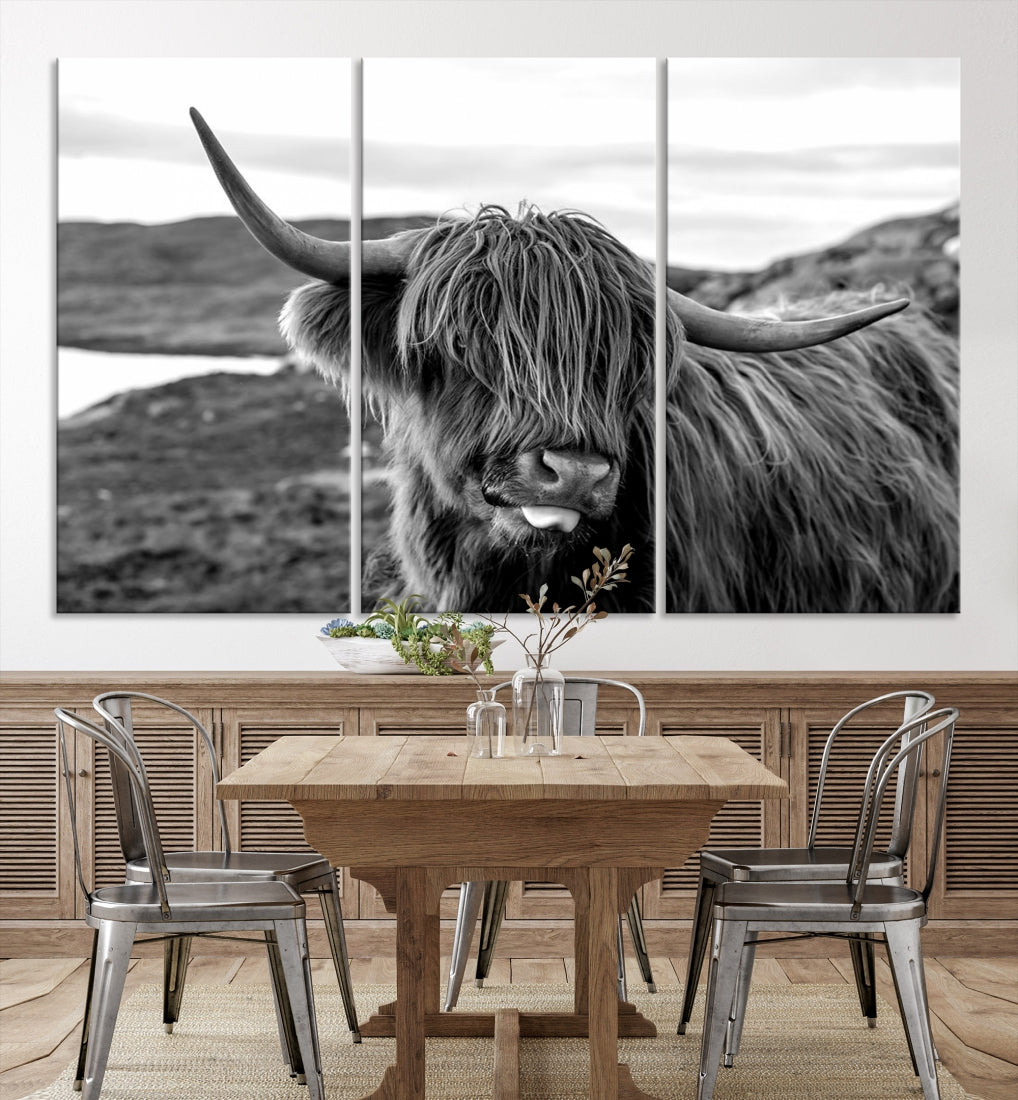 Highland Cows on the Coast of the Isle of HarrisBig Horn Canvas PrintOuter HebridesScotland