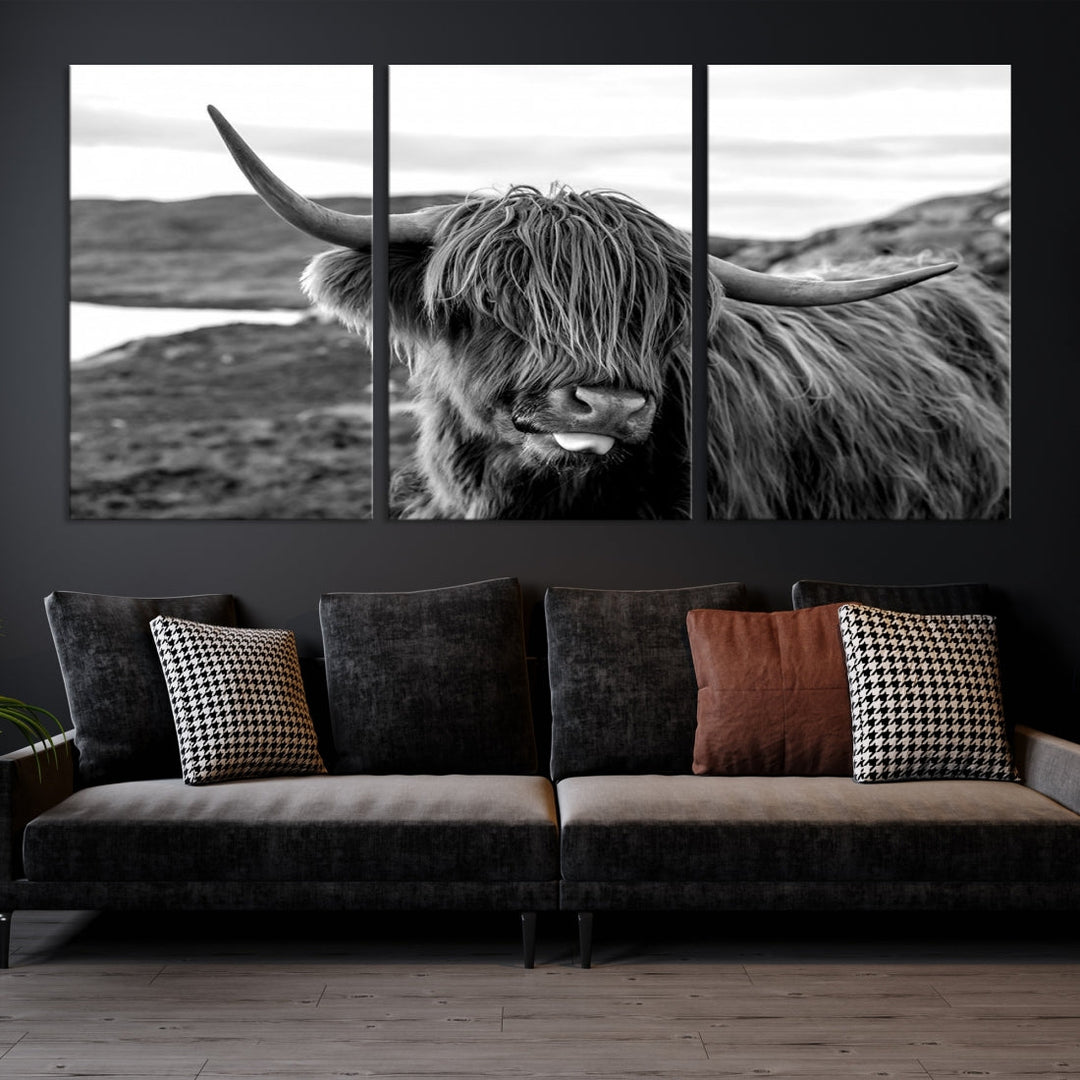 Highland Cows on the Coast of the Isle of HarrisBig Horn Canvas PrintOuter HebridesScotland