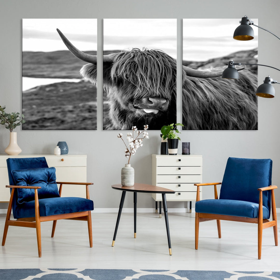 Highland Cows on the Coast of the Isle of HarrisBig Horn Canvas PrintOuter HebridesScotland