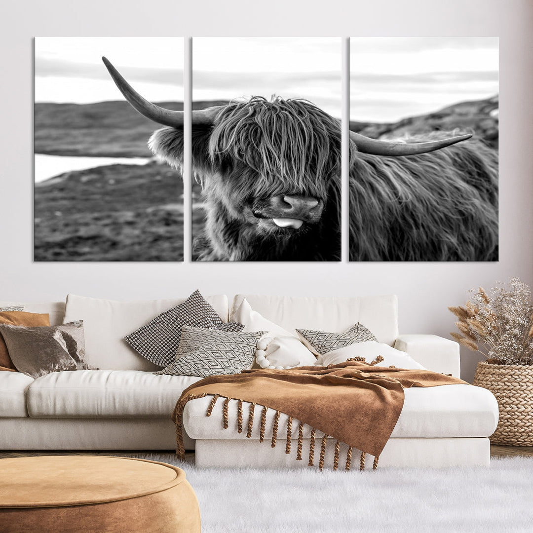 Highland Cows on the Coast of the Isle of HarrisBig Horn Canvas PrintOuter HebridesScotland