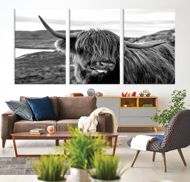 Highland Cows on the Coast of the Isle of HarrisBig Horn Canvas PrintOuter HebridesScotland