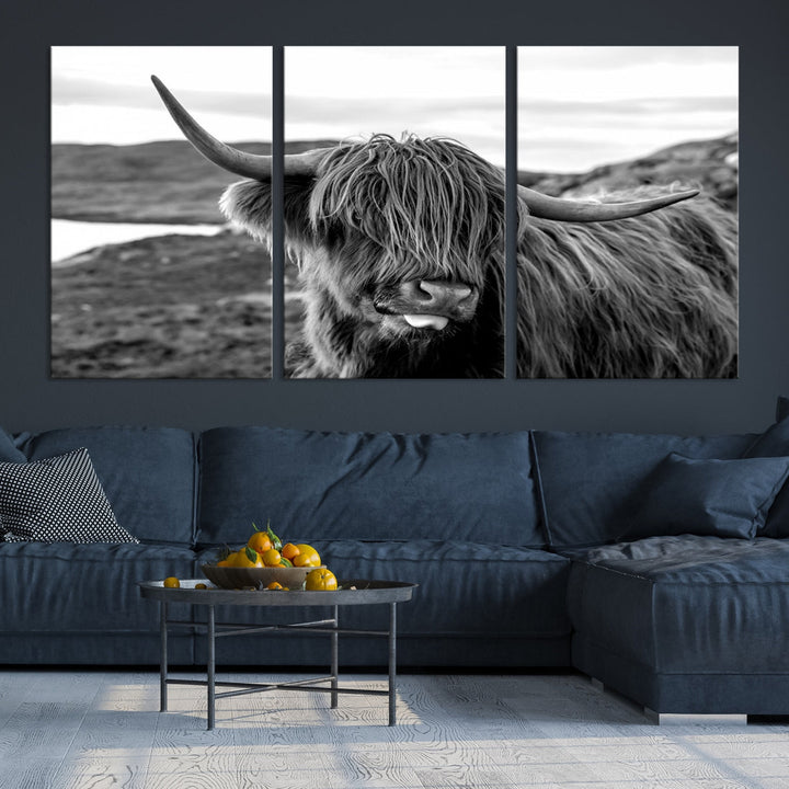 Highland Cows on the Coast of the Isle of HarrisBig Horn Canvas PrintOuter HebridesScotland