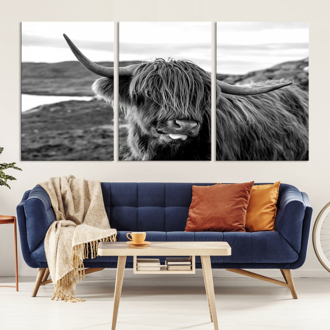 Highland Cows on the Coast of the Isle of HarrisBig Horn Canvas PrintOuter HebridesScotland