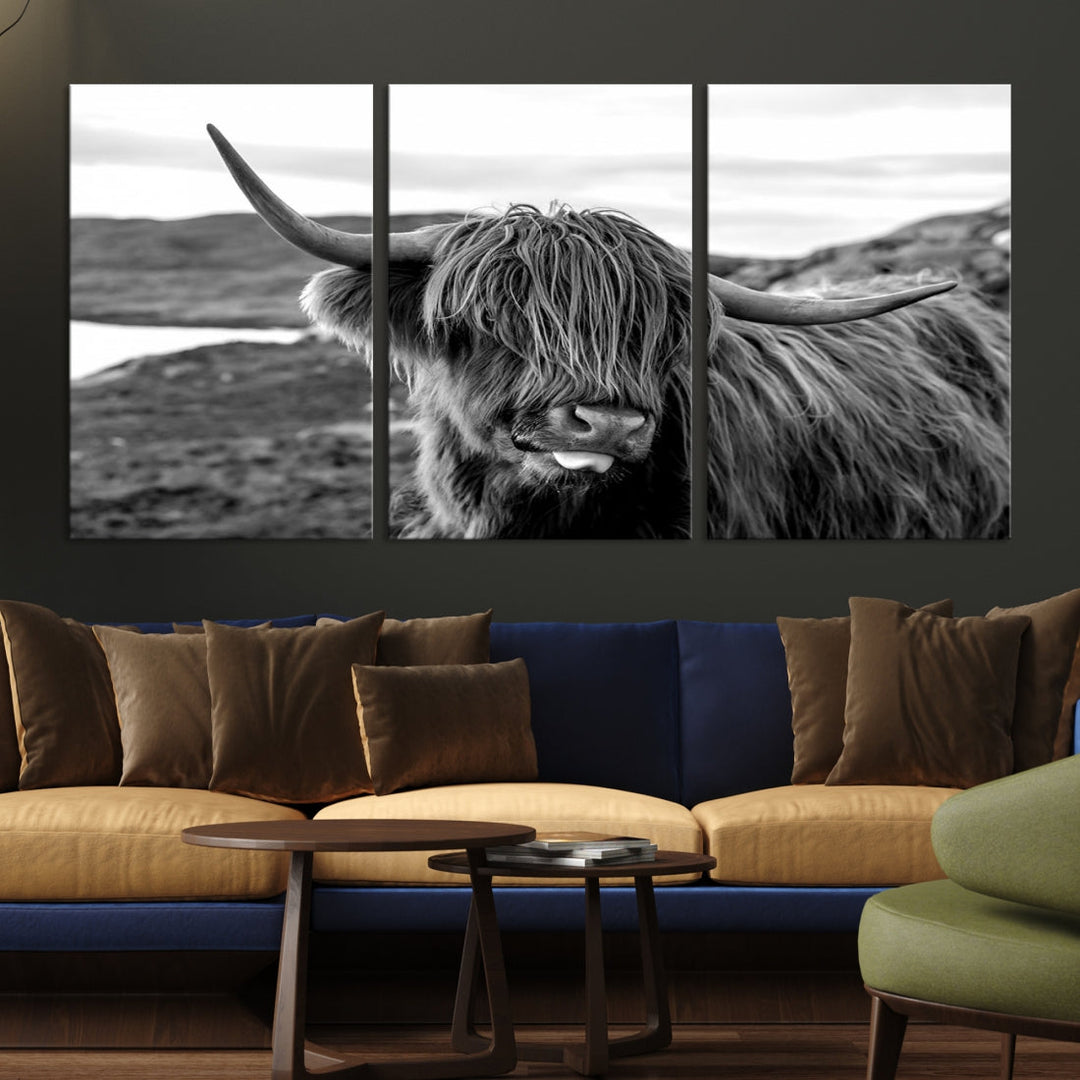 Highland Cows on the Coast of the Isle of HarrisBig Horn Canvas PrintOuter HebridesScotland