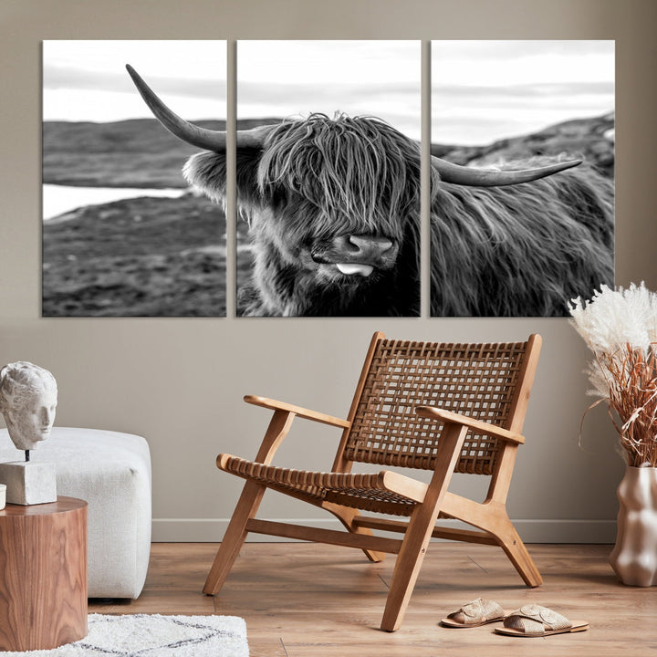 Highland Cows on the Coast of the Isle of HarrisBig Horn Canvas PrintOuter HebridesScotland