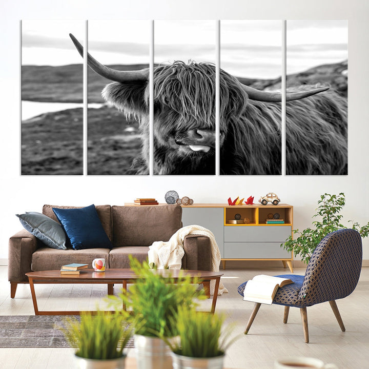 Highland Cows on the Coast of the Isle of HarrisBig Horn Canvas PrintOuter HebridesScotland