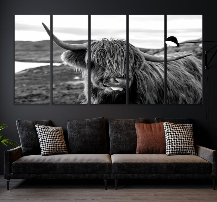 Highland Cows on the Coast of the Isle of HarrisBig Horn Canvas PrintOuter HebridesScotland