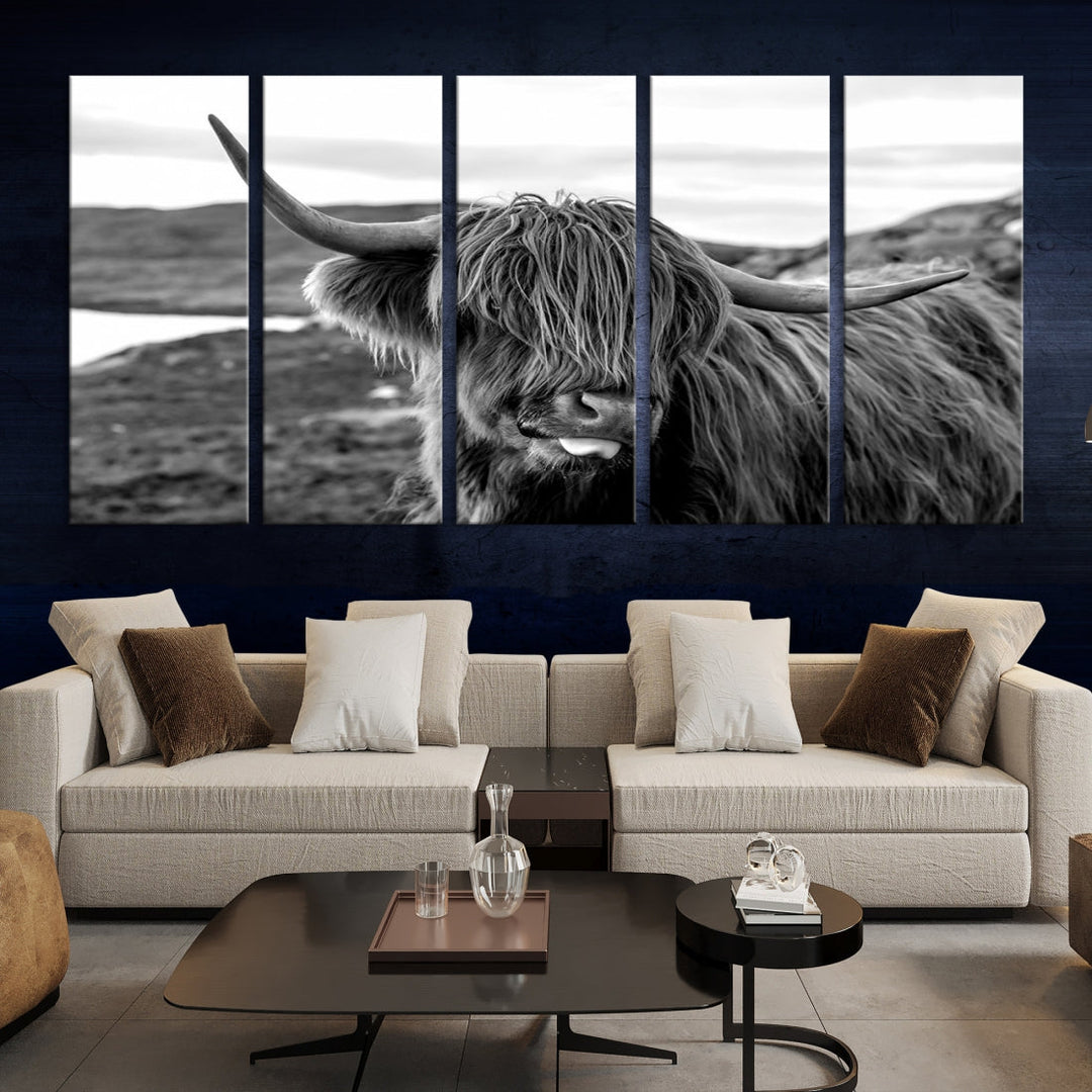 Highland Cows on the Coast of the Isle of HarrisBig Horn Canvas PrintOuter HebridesScotland