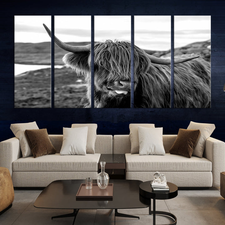 Highland Cows on the Coast of the Isle of HarrisBig Horn Canvas PrintOuter HebridesScotland