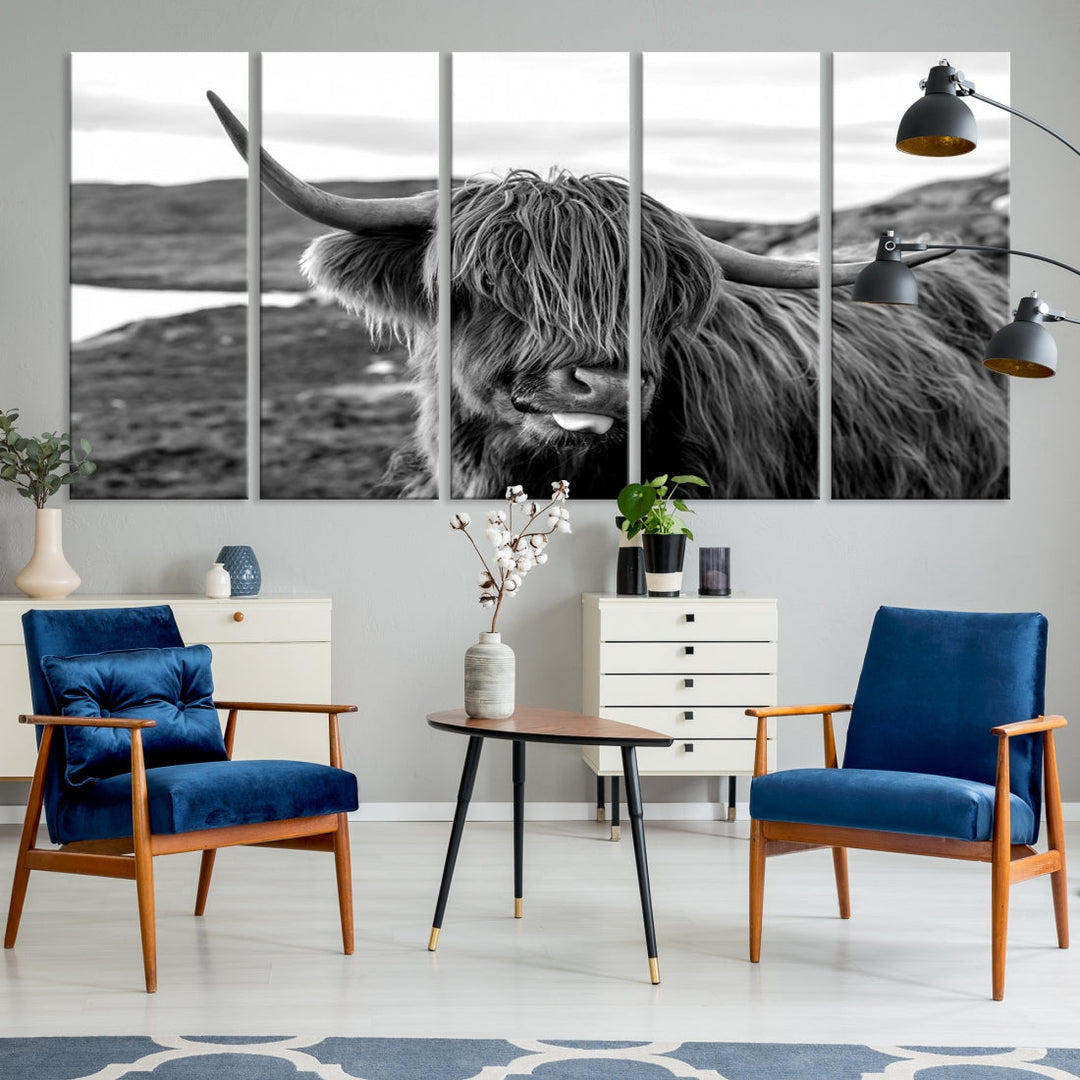 Highland Cows on the Coast of the Isle of HarrisBig Horn Canvas PrintOuter HebridesScotland