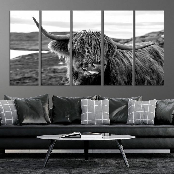 Highland Cows on the Coast of the Isle of HarrisBig Horn Canvas PrintOuter HebridesScotland