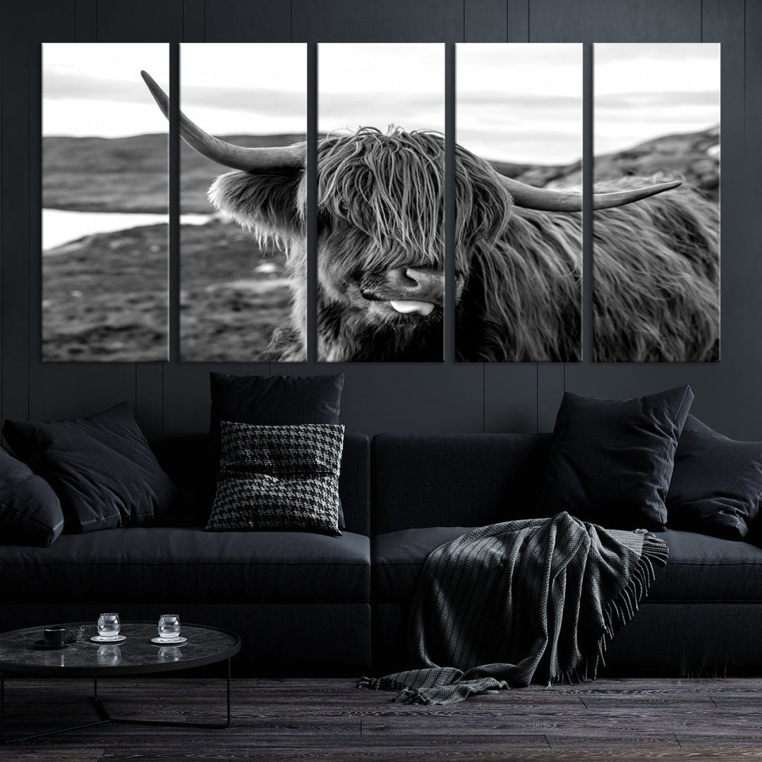 Highland Cows on the Coast of the Isle of HarrisBig Horn Canvas PrintOuter HebridesScotland