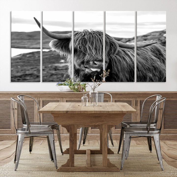 Highland Cows on the Coast of the Isle of HarrisBig Horn Canvas PrintOuter HebridesScotland