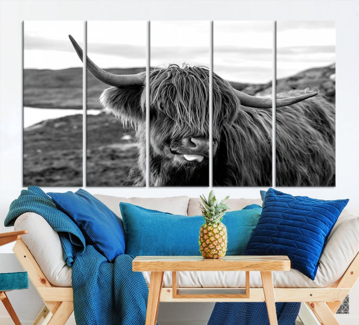 Highland Cows on the Coast of the Isle of HarrisBig Horn Canvas PrintOuter HebridesScotland