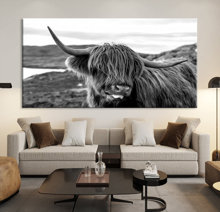 Highland Cows on the Coast of the Isle of HarrisBig Horn Canvas PrintOuter HebridesScotland