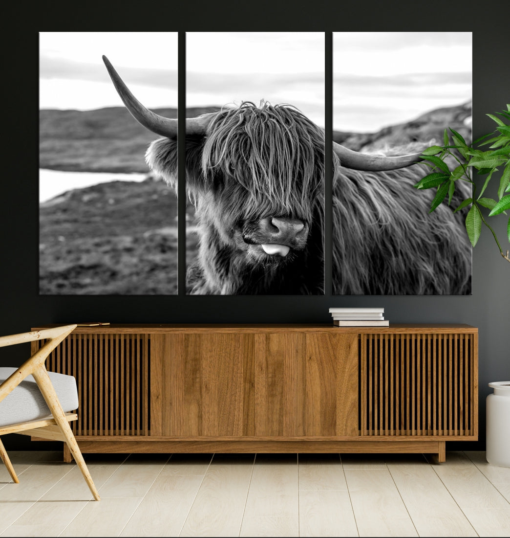 Highland Cows on the Coast of the Isle of HarrisBig Horn Canvas PrintOuter HebridesScotland